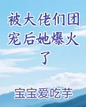 被大佬们团宠后她爆火了