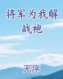 将军为我解战袍