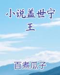 小说盖世宁王
